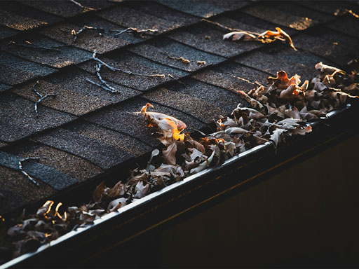 gutter